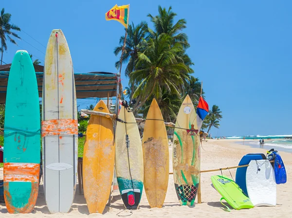 Surf boards on sandy Weligama beach in Sri Lanka