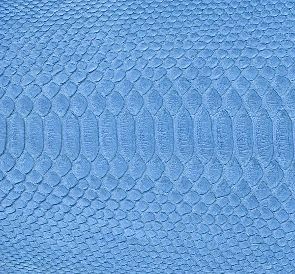 Blue snake skin imitation background