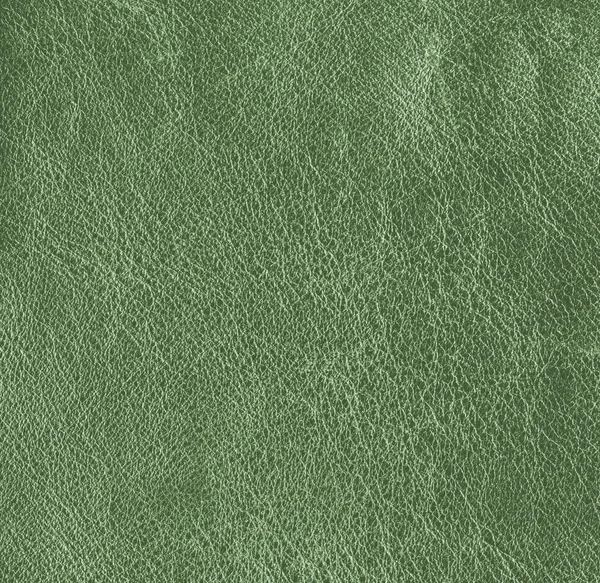 Green leather texture closeup.
