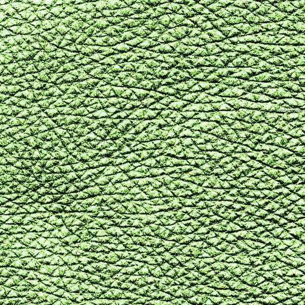 Green leather closeup