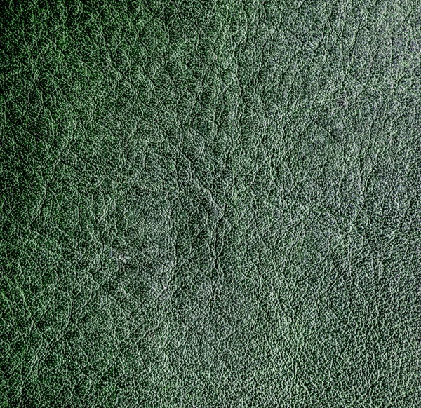 Green leather texture.