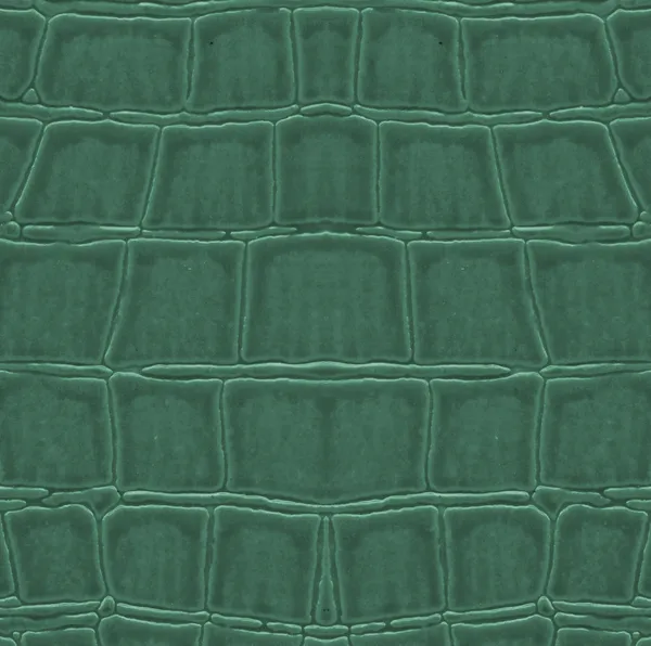 Painted green crocodile leather  texture