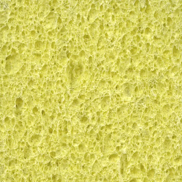 Sponge texture background