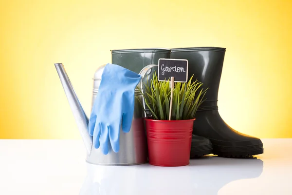 Watering can, garden boots and house plants