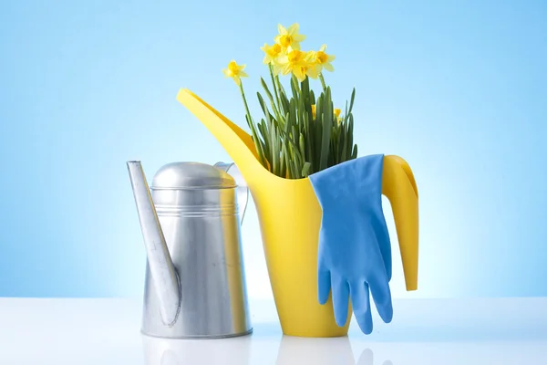 Daffodil flowers and garden equipment