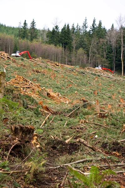 Clearcut Logging In Pacific Northwest