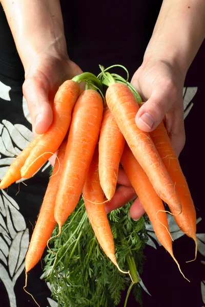 Hands and carrots