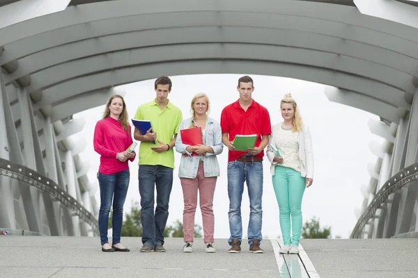 Five students standing on a bridge