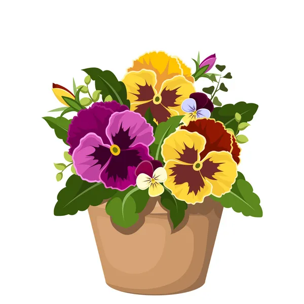 Pansy flowers in a pot. Vector illustration.