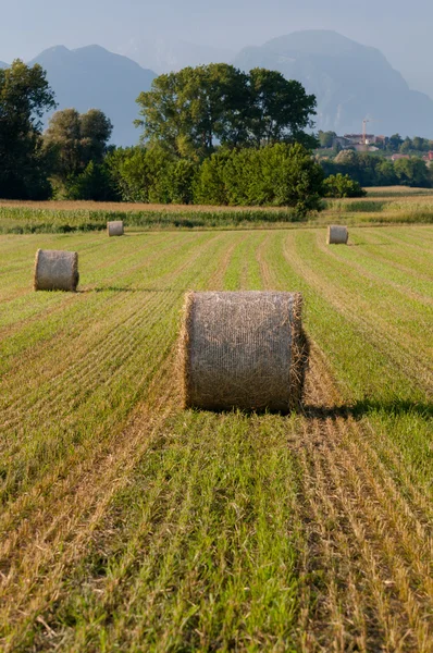 Hay rolls and mountains landscape