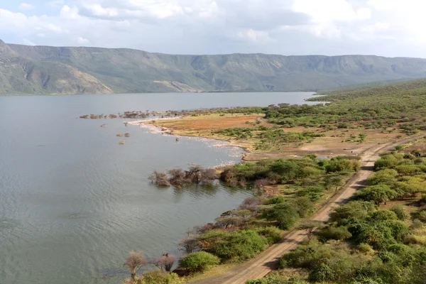 Point of view of the bogoria lake park