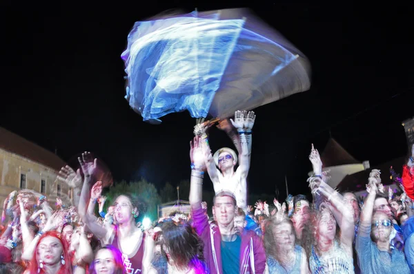 Partying people during a live concert