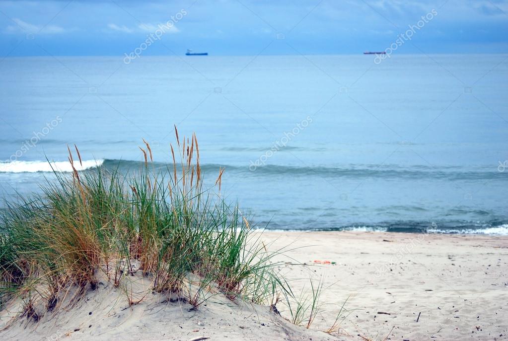 Journal D Une Pute Voyeur A La Plage Journal D Une Pute Voyeur A La Plage