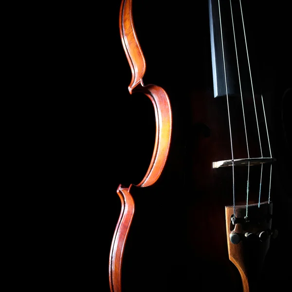 Violin orchestra musical instruments