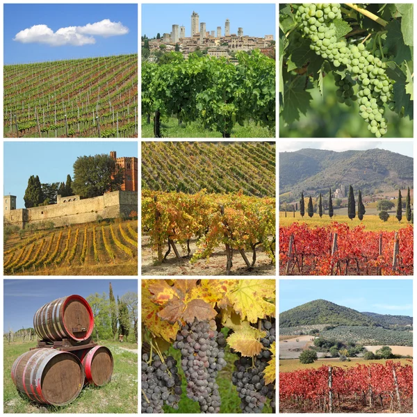 Collage with scenic images of tuscan vineyards