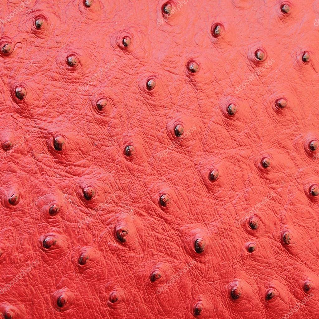 Red ostrich leather texture — Stock Photo © Malgorzata_Kistryn #27391793