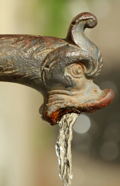 Antique water faucet, detail of urban water source , Florence, T