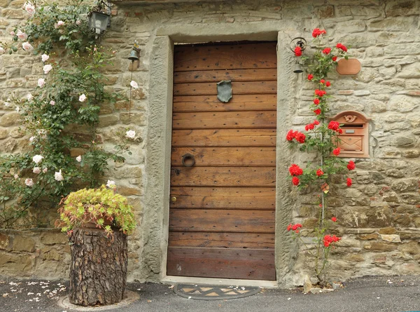 Front door decorated with climbing roses in old tuscan village,