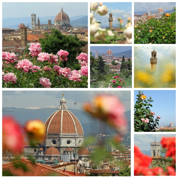 Garden of Roses ( Giardino delle rose) images collage, Florence