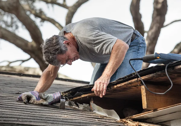 Man Examining and Repairing Leaking House Roof