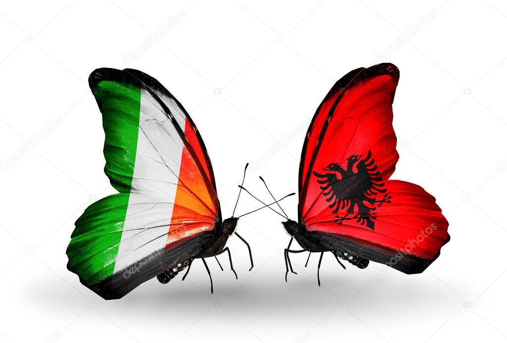 chat online free albania