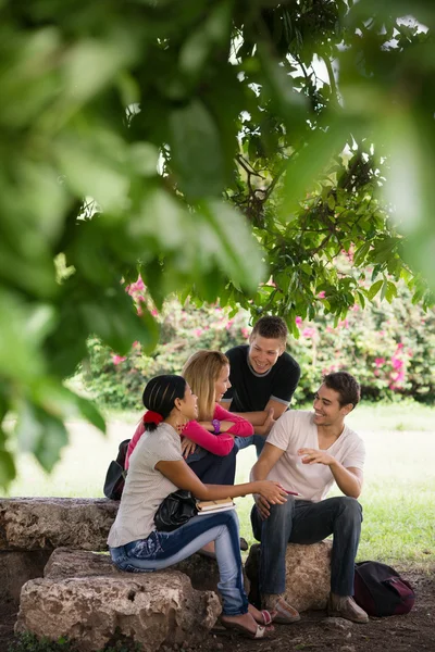 University students meeting and preparing test