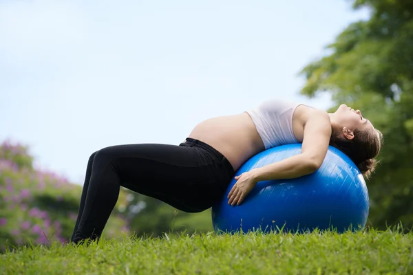 Pregnancy and motherhood-pregnant woman swiss ball