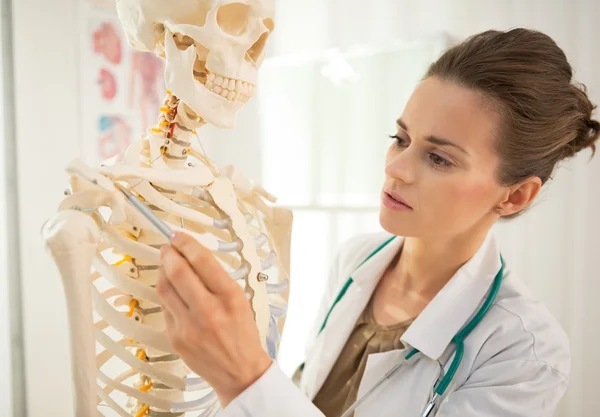 Doctor using skeleton model