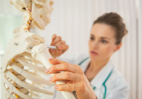 Doctor using skeleton model