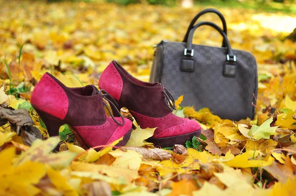 Woman fashion accessories like fancy pink shoes and brown bag against autumn leaves