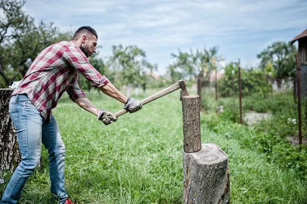 Athletic man splitting wood and cutting firewood with axe