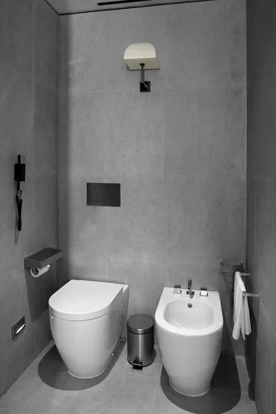 Interior of modern toilet in european style
