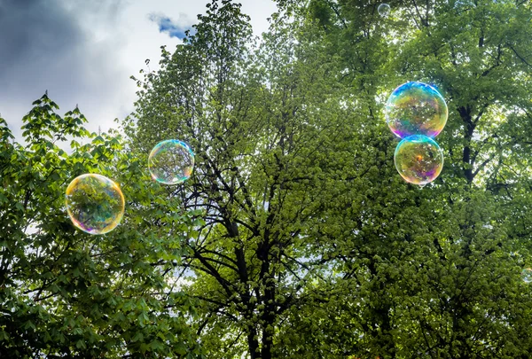 Rainbow bubbles made of soap