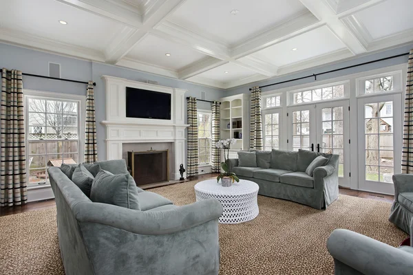 Family room with fireplace