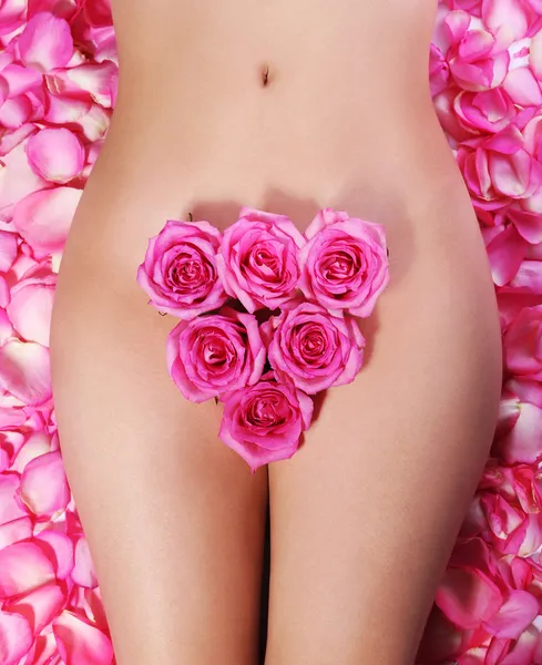 Pink Roses on woman's body over petals. Concept of Waxing Bikini