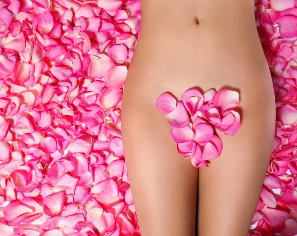 Petals of Pink Roses on woman's body. Concept of Waxing. Bikini