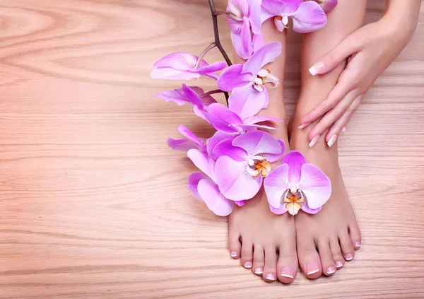 Foot care. Pedicure with pink orchid flowers on wooden