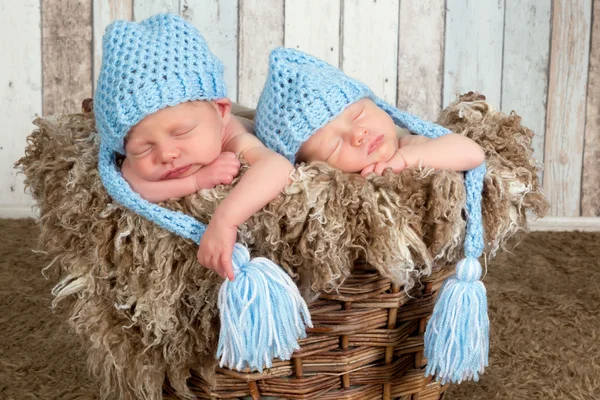Blue hat twin babies