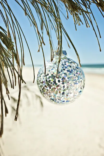 Christmas ball hangs from a tree at the beach