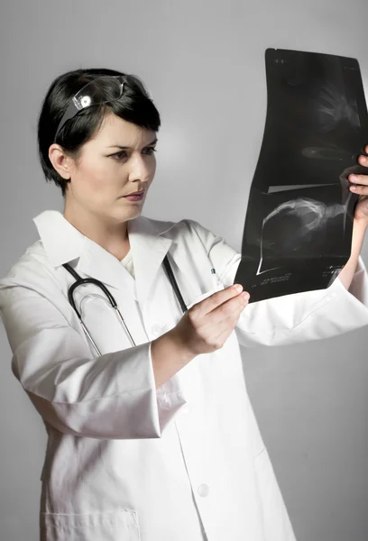 Brunette female doctor checking X-Rays