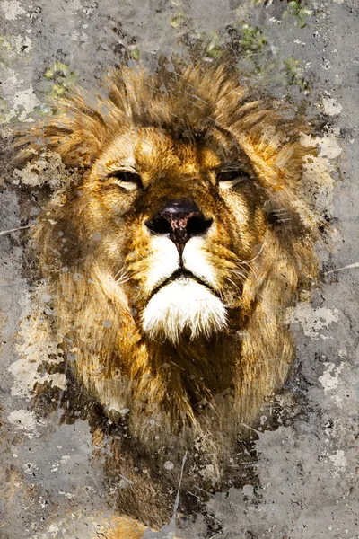 Artistic portrait with textured background, lion head