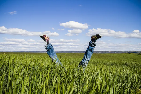 Concept of freedom and joy, man with jeans lying in wheat field