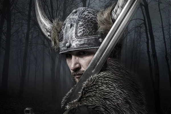 Viking warrior with helmet