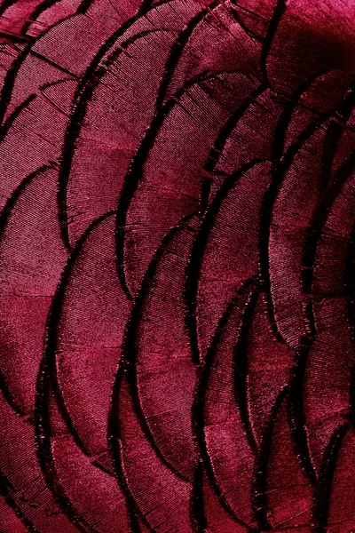 Texture of pink flamingo feathers
