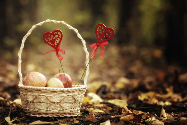 Fall picnic basket love