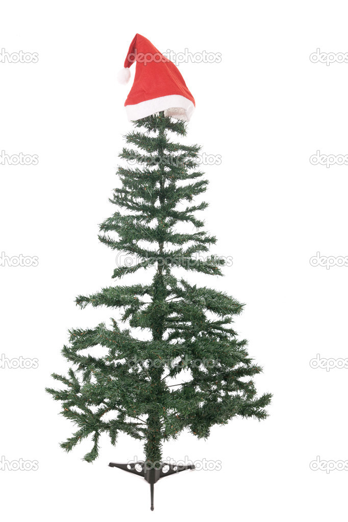 the bare christmas tree ready to decorate stock photo the bare christmas tree ready to decorate stock photo