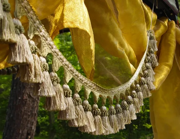 Tassel Fringe and Silk in the Forest