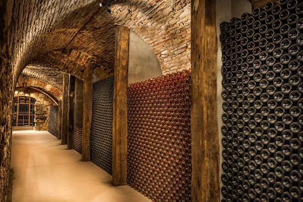Wine cellar, a row of champagne bottles