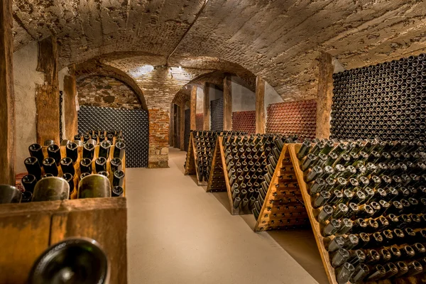 Wine cellar, a row of champagne bottles