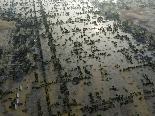 Flood, Aerial View